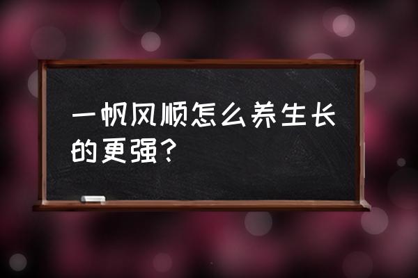 一帆风顺怎么养才茂盛 一帆风顺怎么养生长的更强？