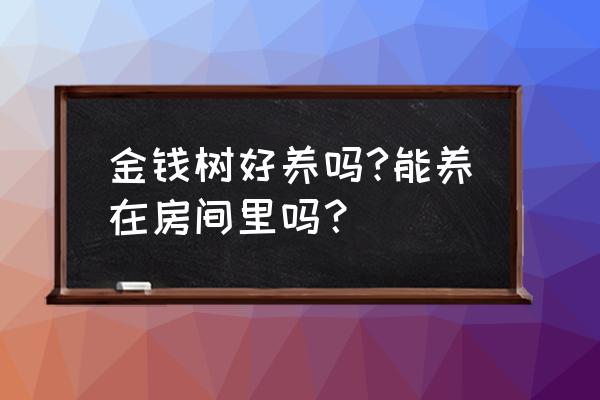 金钱树适合在室内养吗 金钱树好养吗?能养在房间里吗？