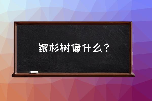 被誉为植物中的熊猫 银杉树像什么？