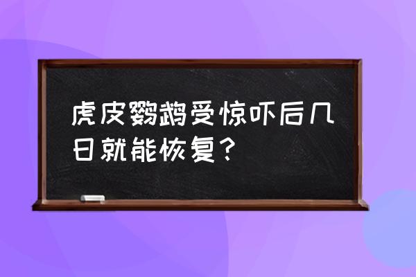 过度惊吓严重多久恢复 虎皮鹦鹉受惊吓后几日就能恢复？