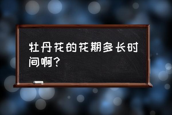 牡丹花期多少时间 牡丹花的花期多长时间啊？