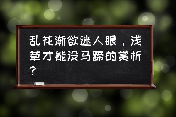 浅草才能没马蹄的赏析 乱花渐欲迷人眼，浅草才能没马蹄的赏析？