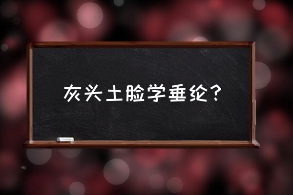 蓬头稚子学垂纶补充完整 灰头土脸学垂纶？