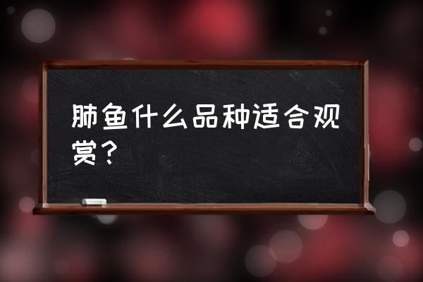 澳洲肺鱼和非洲肺鱼的区别 肺鱼什么品种适合观赏？