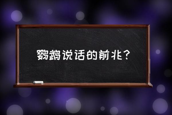 虎皮鹦鹉说话前征兆 鹦鹉说话的前兆？