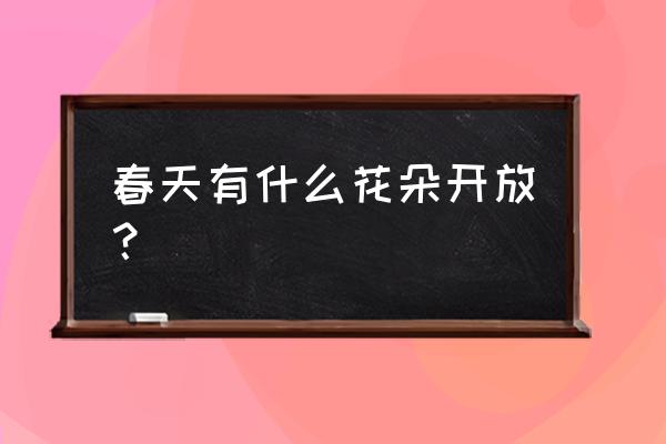 春天有什么花开放了 春天有什么花朵开放？