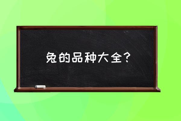 兔子都有哪些种类 兔的品种大全？