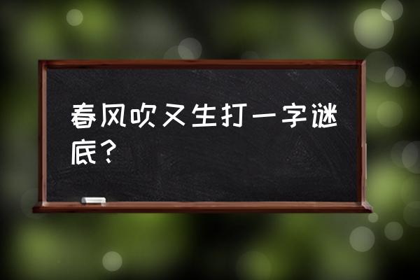 春风吹又生打一个字 春风吹又生打一字谜底？