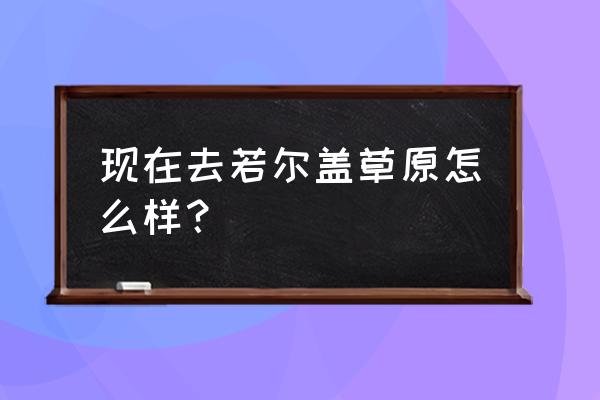 四川若尔盖草原 现在去若尔盖草原怎么样？