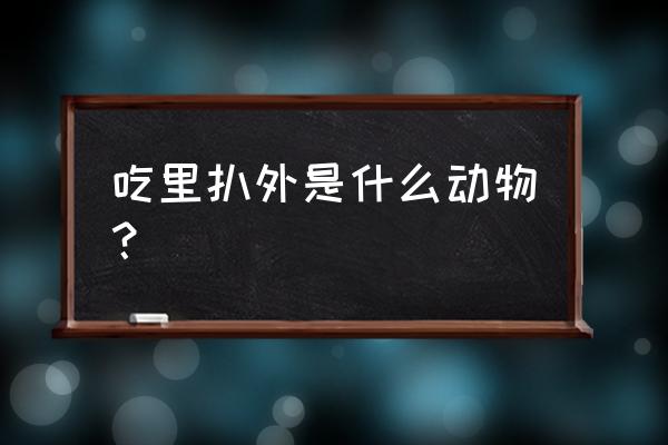 哪个动物吃里扒外 吃里扒外是什么动物？