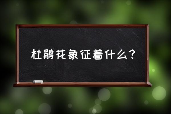 杜鹃花语象征与寓意 杜鹃花象征着什么？