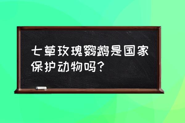 七草玫瑰鹦鹉是国家保护动物吗？ 七草玫瑰鹦鹉是国家保护动物吗？