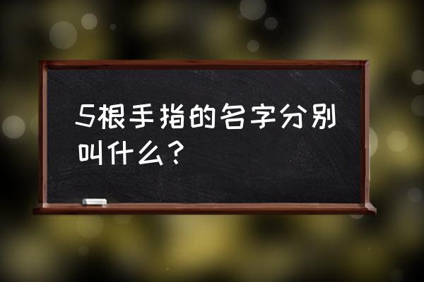 5根手指的名字分别叫什么？ 5根手指的名字分别叫什么？