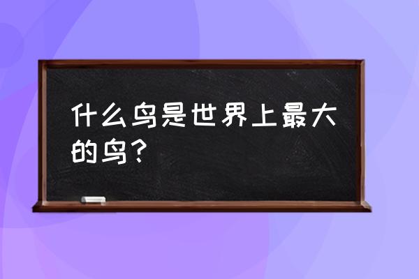 什么鸟是世界上最大的鸟？ 什么鸟是世界上最大的鸟？