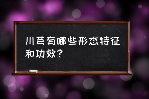 川芎有哪些形态特征和功效？ 川芎有哪些形态特征和功效？