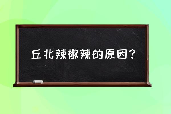 丘北辣椒特点 丘北辣椒辣的原因？