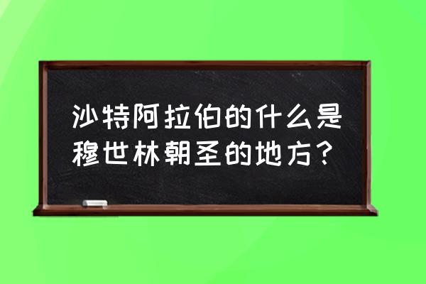 麦加朝圣人数 沙特阿拉伯的什么是穆世林朝圣的地方？