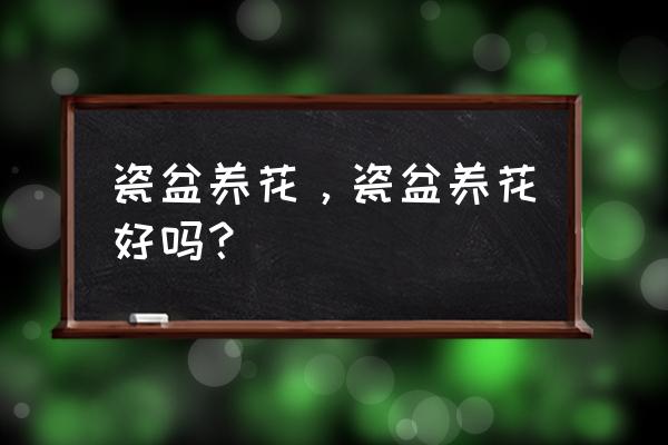 陶瓷盆养花的好处和坏处 瓷盆养花，瓷盆养花好吗？