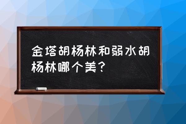 金塔胡杨林 金塔胡杨林和弱水胡杨林哪个美？