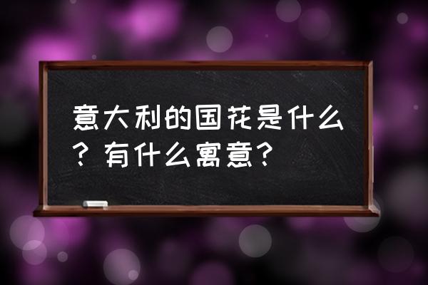 意大利国花的含义 意大利的国花是什么？有什么寓意？