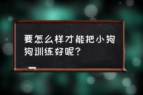 自己怎么训练狗狗 要怎么样才能把小狗狗训练好呢？