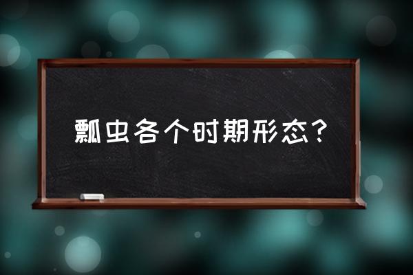 瓢虫之年怪物介绍 瓢虫各个时期形态？