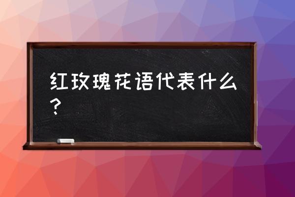 红玫瑰花语象征与寓意 红玫瑰花语代表什么？