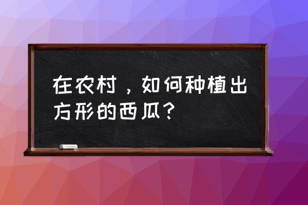 方形西瓜怎么种出来的 在农村，如何种植出方形的西瓜？