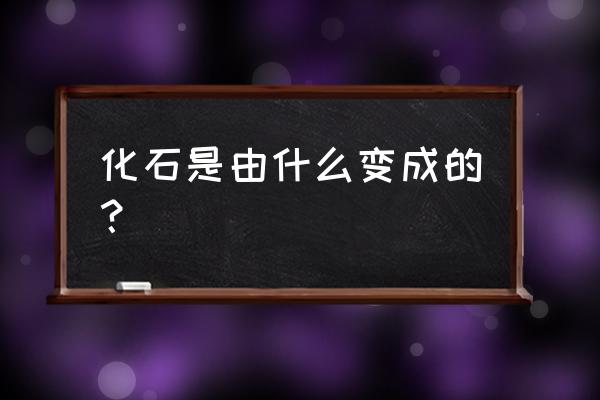 化石是由什么形成的 化石是由什么变成的？