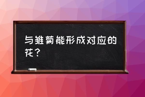 类似于小雏菊的花 与雏菊能形成对应的花？