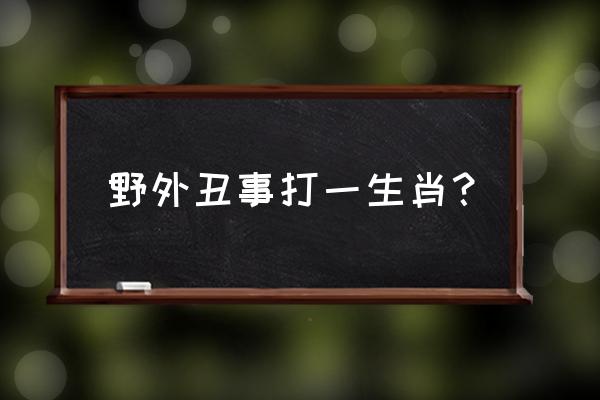 奇耻大辱是什么生肖 野外丑事打一生肖？