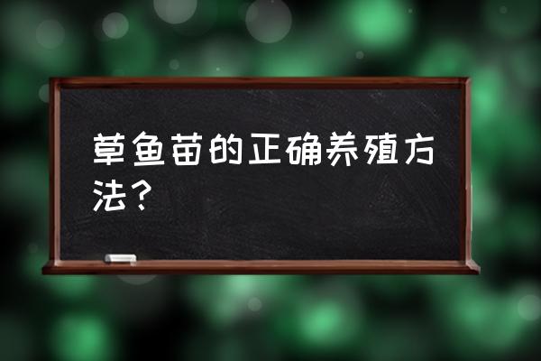 草鱼鱼苗养殖技术 草鱼苗的正确养殖方法？