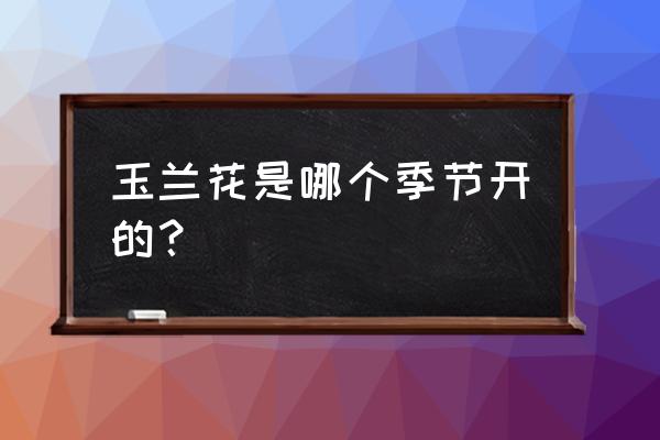 玉兰花几月开放时间 玉兰花是哪个季节开的？