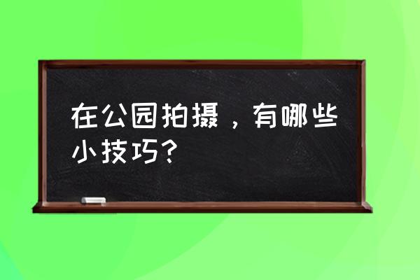 怎样拍摄林立高楼 在公园拍摄，有哪些小技巧？