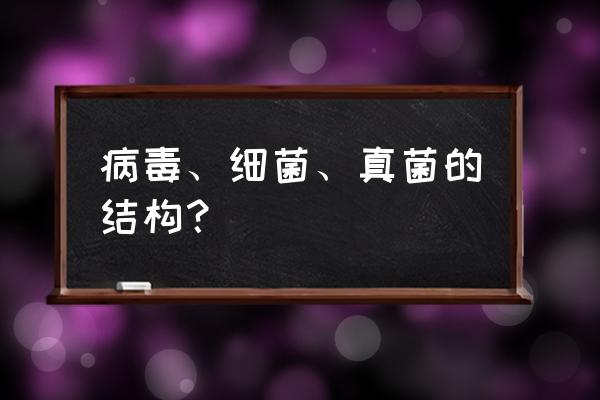 细菌和真菌有哪些区别 病毒、细菌、真菌的结构？