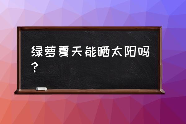 绿萝要不要晒太阳最合适 绿萝夏天能晒太阳吗？