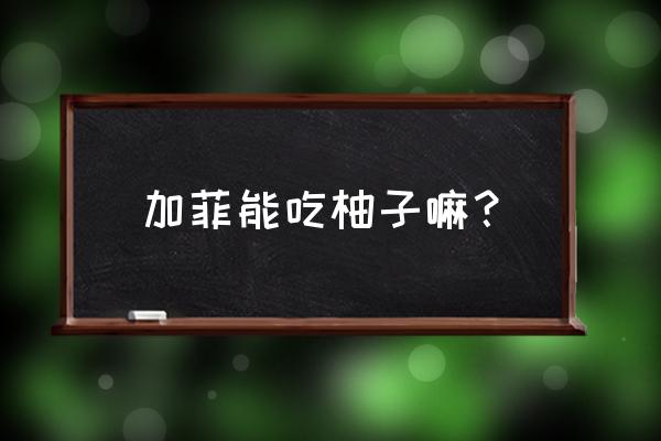 吃柚子有什么忌口的吗 加菲能吃柚子嘛？