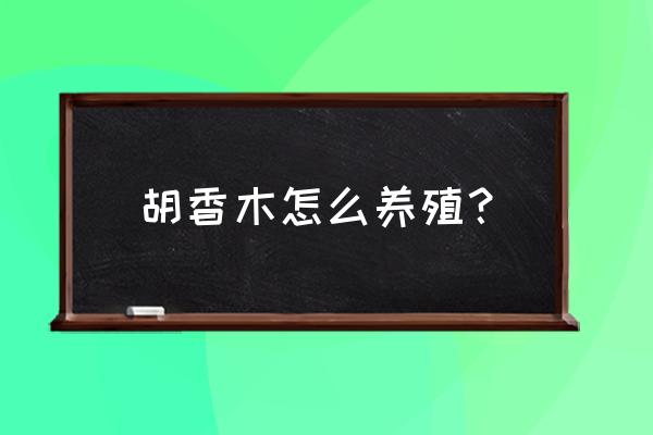 四川前胡烘干设备报价 胡香木怎么养殖？