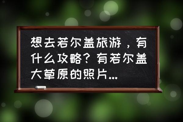 去陇南自由行怎么玩好 想去若尔盖旅游，有什么攻略？有若尔盖大草原的照片可以分享一下吗？