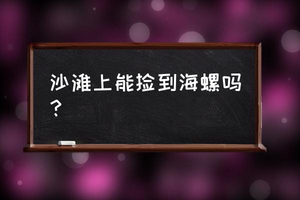 海边沙滩拾小海螺 沙滩上能捡到海螺吗？