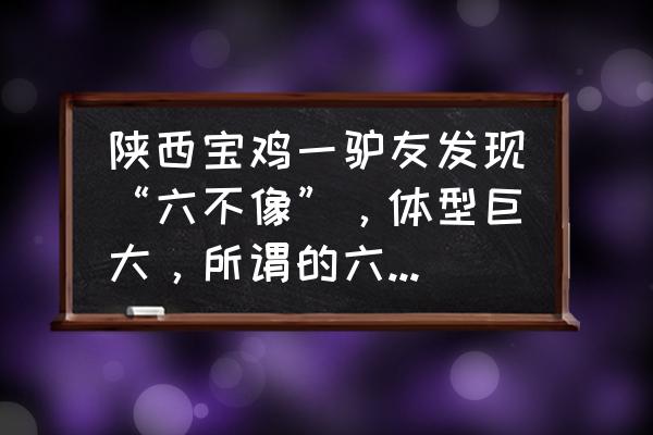 宝鸡适合周末游玩的好地方 陕西宝鸡一驴友发现“六不像”，体型巨大，所谓的六不像究竟是什么动物？