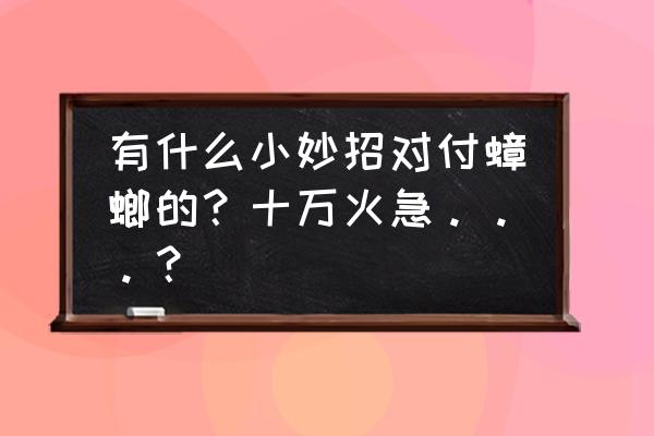 家里蟑螂不用怕两个土豆就解决 有什么小妙招对付蟑螂的？十万火急。。。？