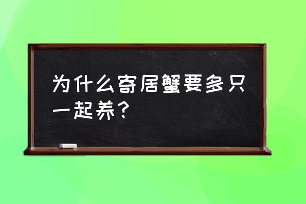 哪种动物保护寄居蟹最好 为什么寄居蟹要多只一起养？