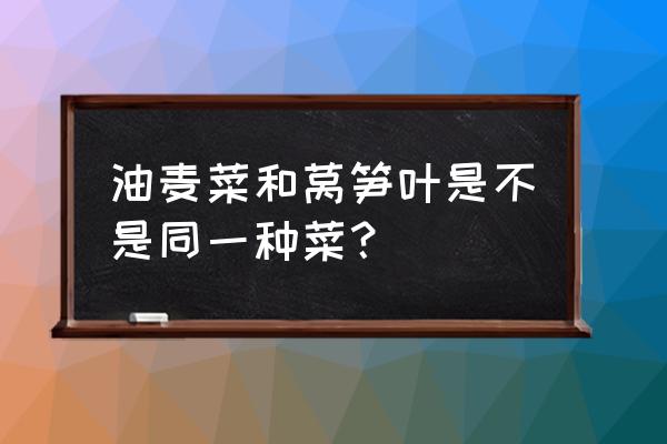 油麦菜是莴笋叶子吗 油麦菜和莴笋叶是不是同一种菜？