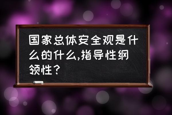 11种安全观的主要内容 国家总体安全观是什么的什么,指导性纲领性？