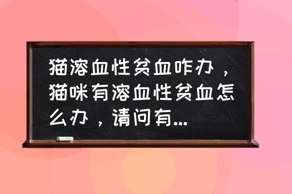 溶血性贫血吃什么食物能恢复 猫溶血性贫血咋办，猫咪有溶血性贫血怎么办，请问有人听过吗？