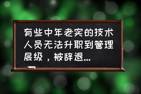 转岗觉得太难了怎么办 有些中年老实的技术人员无法升职到管理层级，被辞退后都去干什么了？