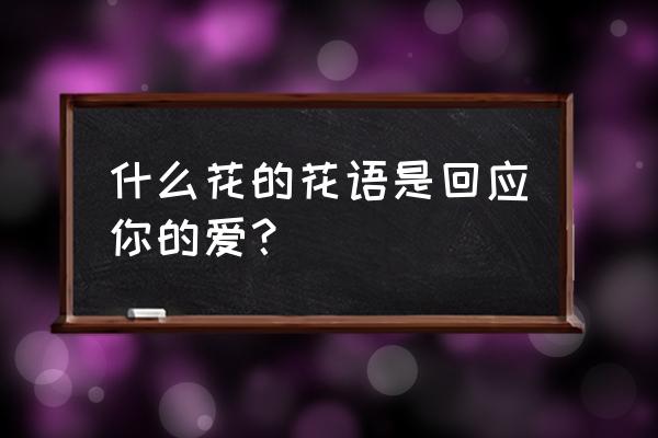 如何获取鬼香花链三朵 什么花的花语是回应你的爱？