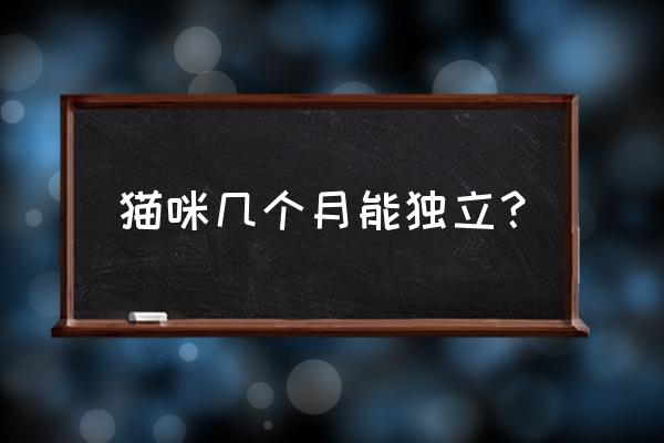 独自在野外如何生存 猫咪几个月能独立？