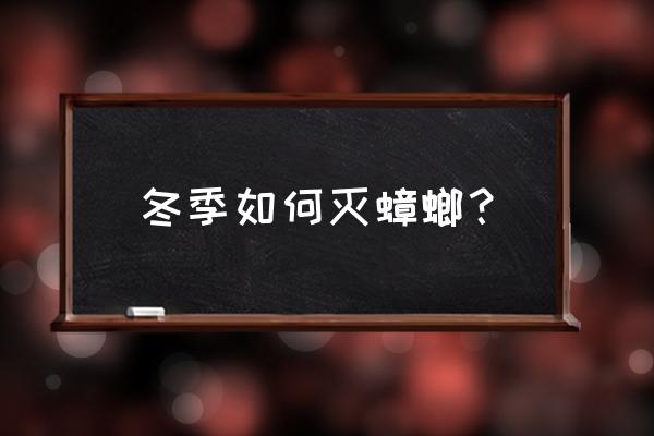 怎么从根源上防蟑螂 冬季如何灭蟑螂？